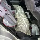 سيفيك مديل 2000