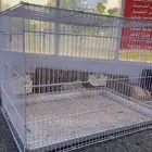 شبك طيور كبير