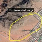مطلوب ارض في مخطط السعيد حي الودي