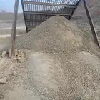 صبيز للبيع باقل الاسعار
