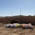 سماد بقري للبيع