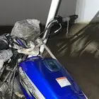 الدباب اصلي وأنواره تمام وكل شي تمام معاد بستم وشنبر بس