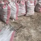 علف عجين سمبوسة