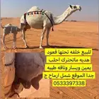 خلفه عديه للبيع