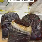 تمر سكريه حمراء