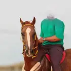 خيل شعبي