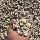 خرسان ابيض  بحص