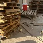 طبليات