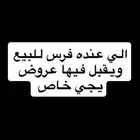 مطلوب فرس للبيع