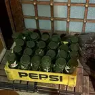 صندوق الطيبين ببسي