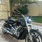 V ROOD في رود اسود 2011