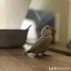 روز اليف العمر 5 شهور
