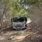 دينه دينا جده