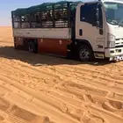 دينا طابقين نجران