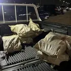 حطب مستورد افريقي