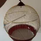قفص طيور