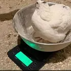 سمان تكساس العملاق