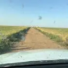 للإيجار مشروع زراعي برخصه أعلاف