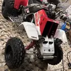 بانشي 2009 اصل