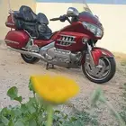 دباب قولد ونق