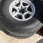جنوط رنقات استراليه