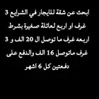 ابي شقة للايجار