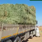 رودس صافي تبوك