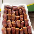 فلين برني العيص ممتاز