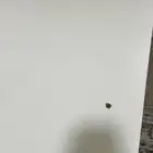 طاولة مكتبيه