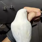 روز ذكر