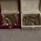 عود ملكي فخم