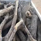 يوجد ددسن لبيع