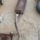 جنوط . دبه هايلوكس. سياكل