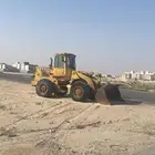 شيول للإيجار