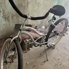 فراشه كبير