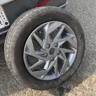 جنوط النترا