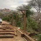 اعمده انا ه تراثيه