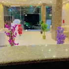 شقق فندقيه للايجار مفروشه
