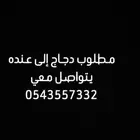 مطلوب دجاج بلدي إلى عنده يتواصل خاص يكون في الزلفي الارطاوي