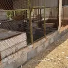 وبران للبيع. حجازيه. العدد 9