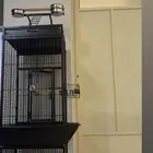 قفص ببغاء