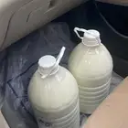 لبن بقر طازج يومي