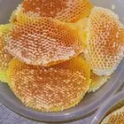 عسل سدر بلدي قص امس