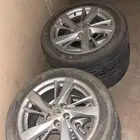 جنوط التيما وكاله
