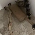 قزوز باترول