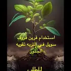 موسم الزراعه استخدام قرين قروف سويل للاسمده