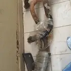 هدرز جيب نيسان وكاله للبيع