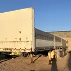 تيدر بيبي