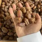 تمر اخلاص الاحساء