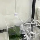 حوض سمك  اكل سمك ومضاد علاج